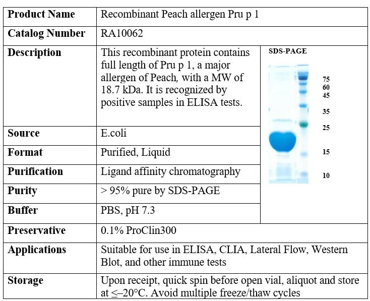 Peach Recombinant Allergen (Pru p 1)