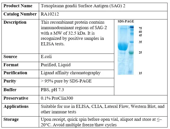 Toxoplasma gondii Surface Antigen (SAG) 2