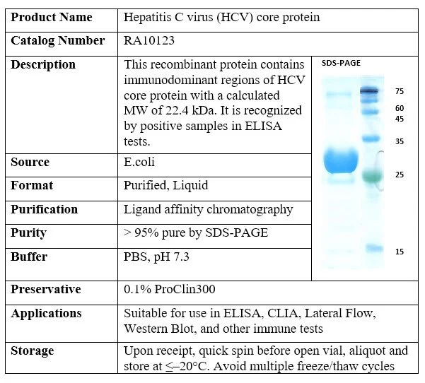Hepatitis C virus (HCV) core recombinant protein