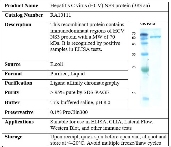 Hepatitis C virus (HCV) NS3 recombinant protein (383 aa)