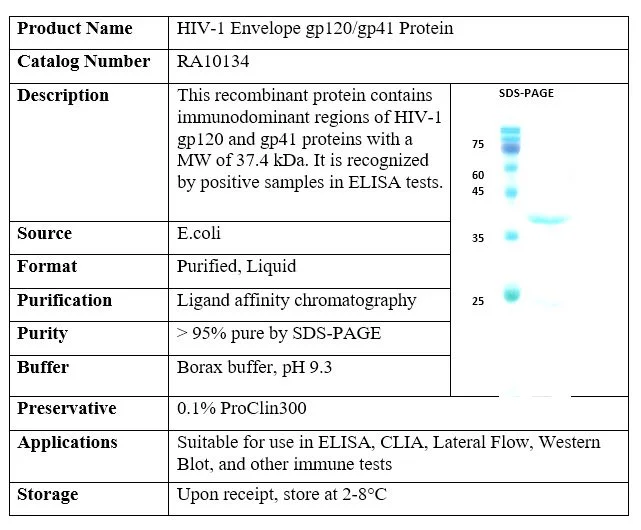HIV-1 Envelope gp120/gp41 Recombinant Protein