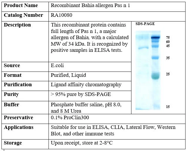 Recombinant Bahia allergen Pas n 1