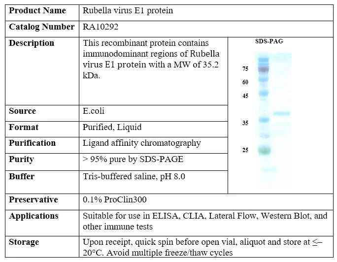 Rubella virus E1 recombinant protein