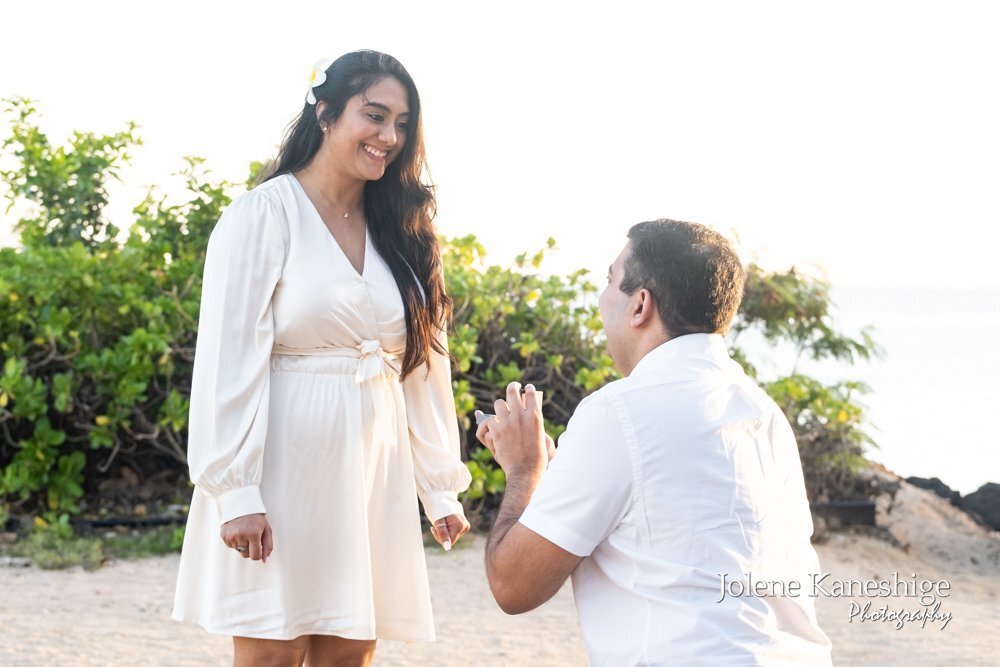 Crafting a unique proposal experience
Read More: https://www.jolenekaneshige.com/blog/crafting-a-unique-proposal-experience 

#DestinationWedding #HawaiiWedding #HawaiiPhotography #BeachWedding #IslandWedding #ParadiseWedding #WeddingPhotographer #Ha