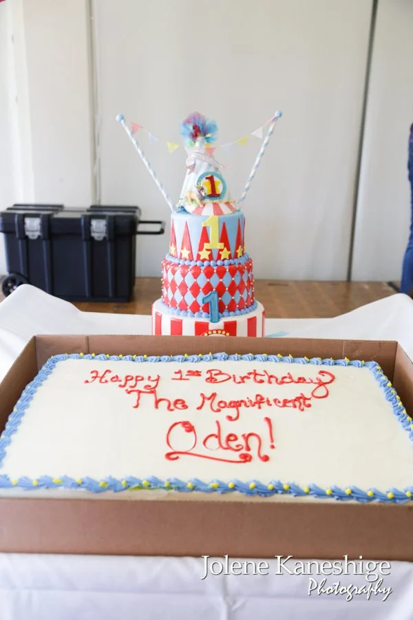 01.23.16 - Odin's 1st Birthday-296.jpg