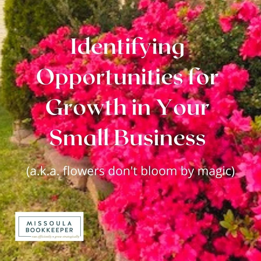 Flowers don’t bloom by accident: Identifying opportunities for growth in your small business.
