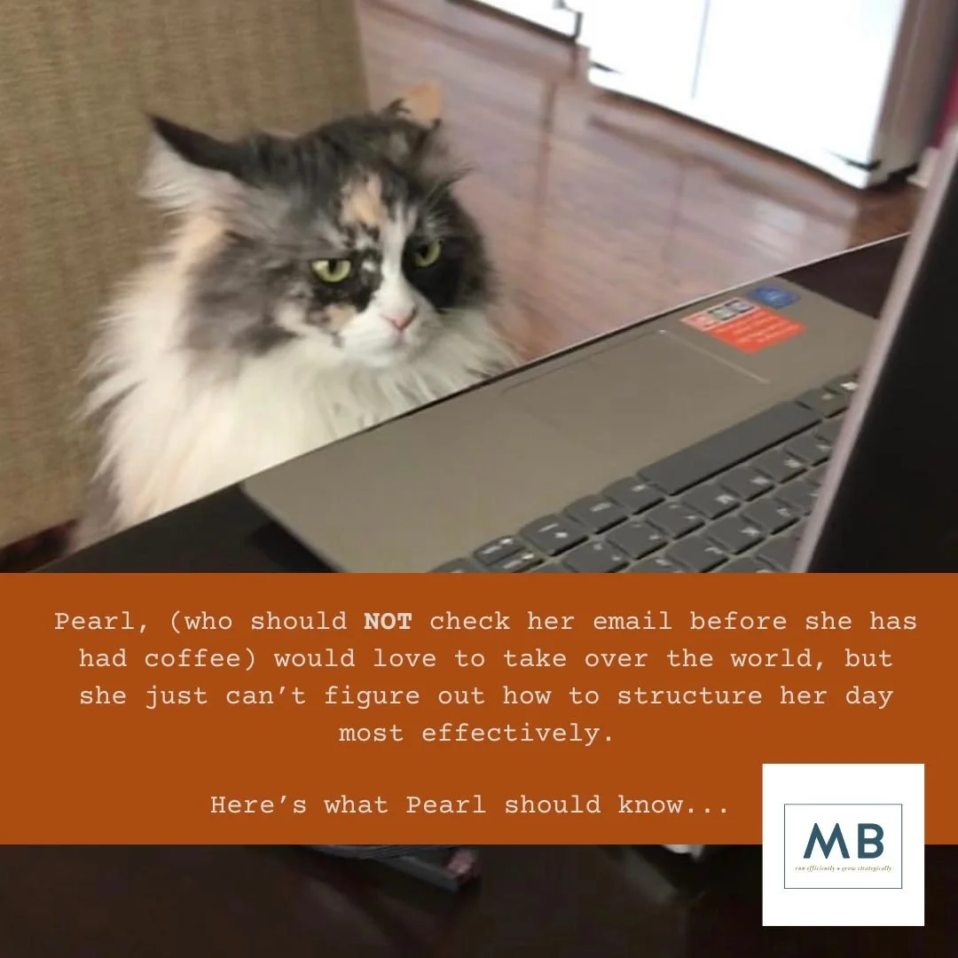 If you want to achieve world domination, you have to have a routine.