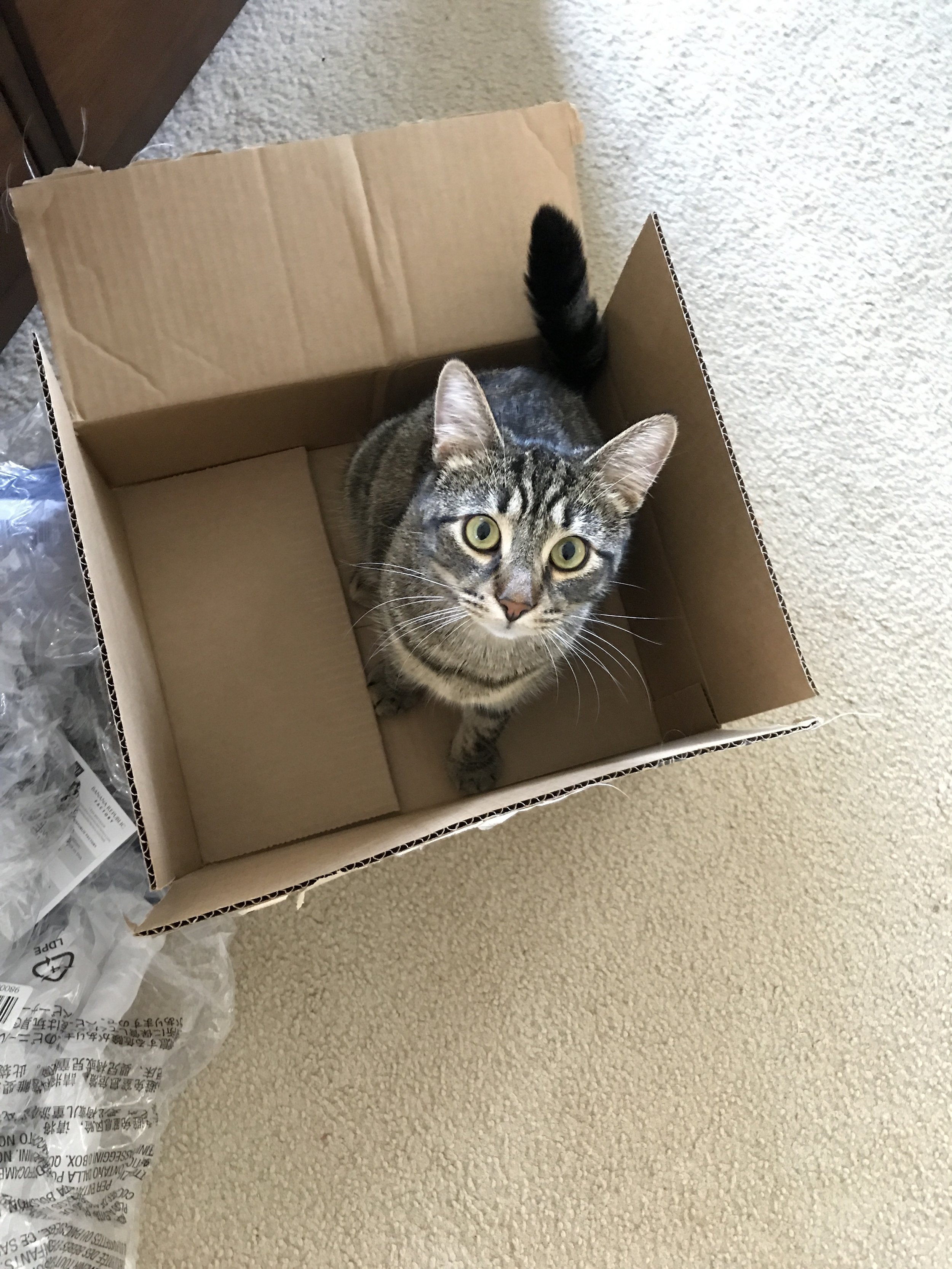 Wrapping the year up in a neat bow (stuff to think about in Q4)