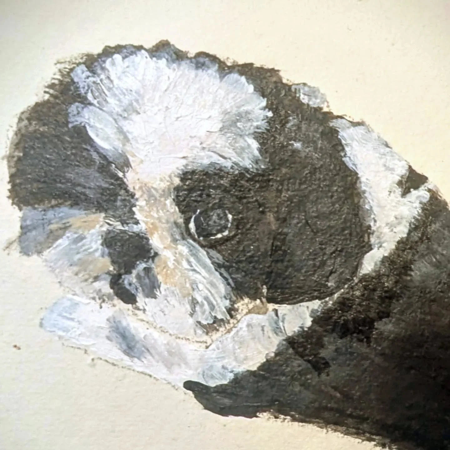 ❤️ Oscar ❤️
.
.
#shihtzu #shihtzugram #dogportraits