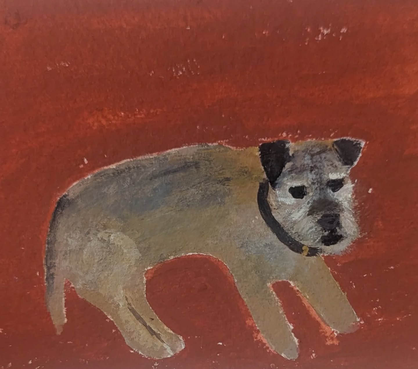 Beautiful, wonderful Polly. ❤️❤️❤️
.
.
.
#borderterrier 
#borderterriersofinstagram 
#dogportraits