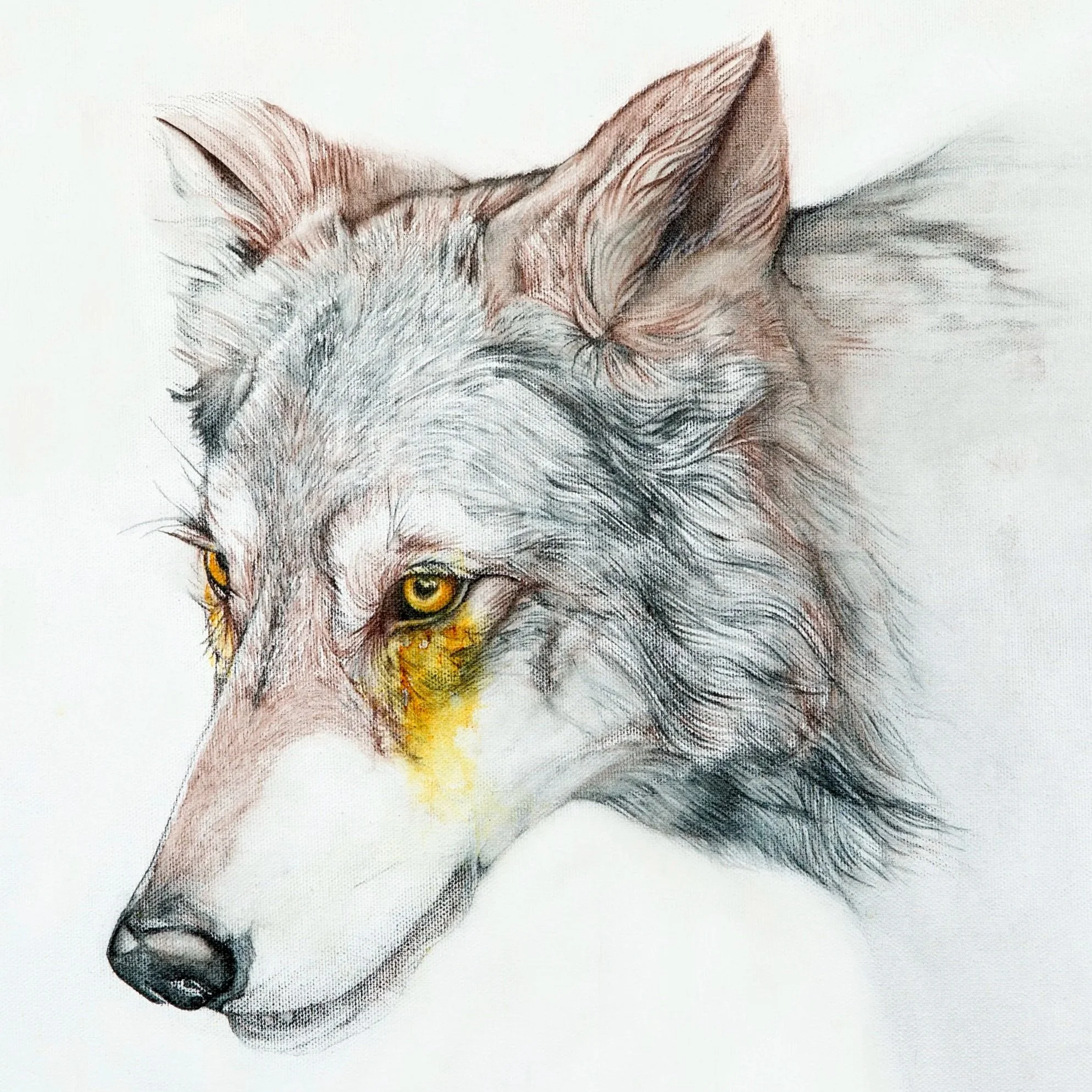 Masterful Animals - Drawing 