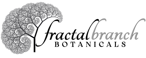 Fractal Branch 