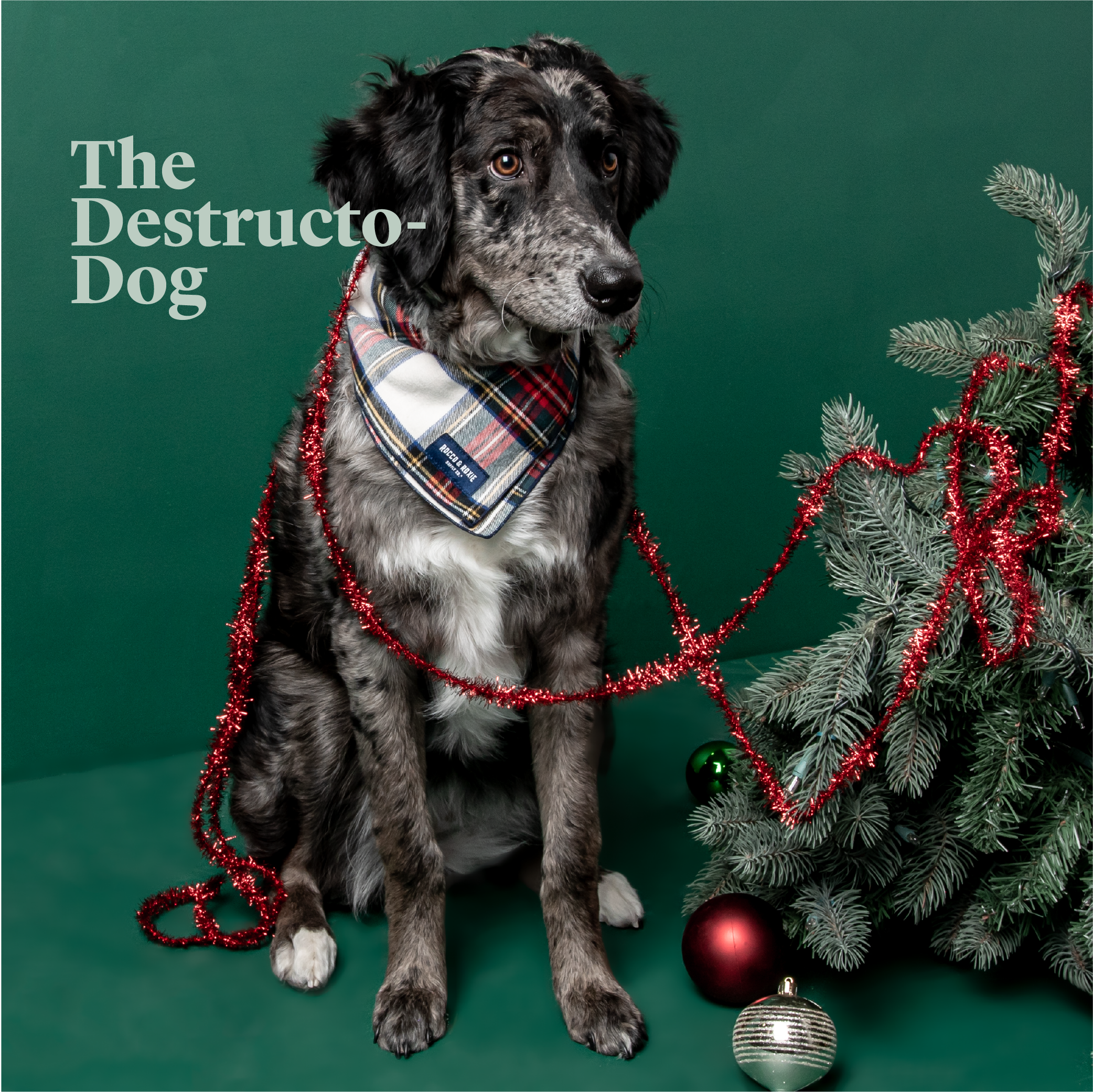 RR_Holiday_Social-06.png