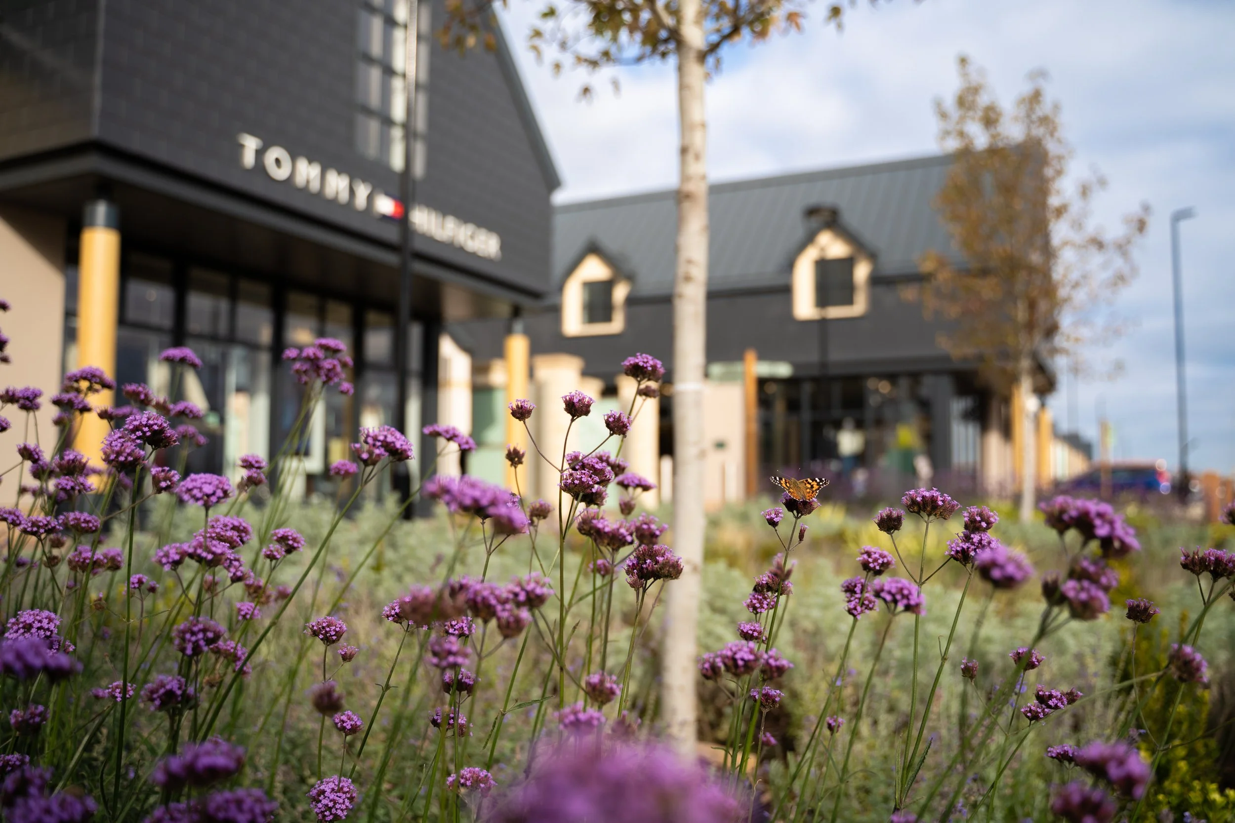 Purple flowers in the foreground with trees and a building that has a sign reading 'Tommy Hilfiger' in the background on a partly cloudy day.