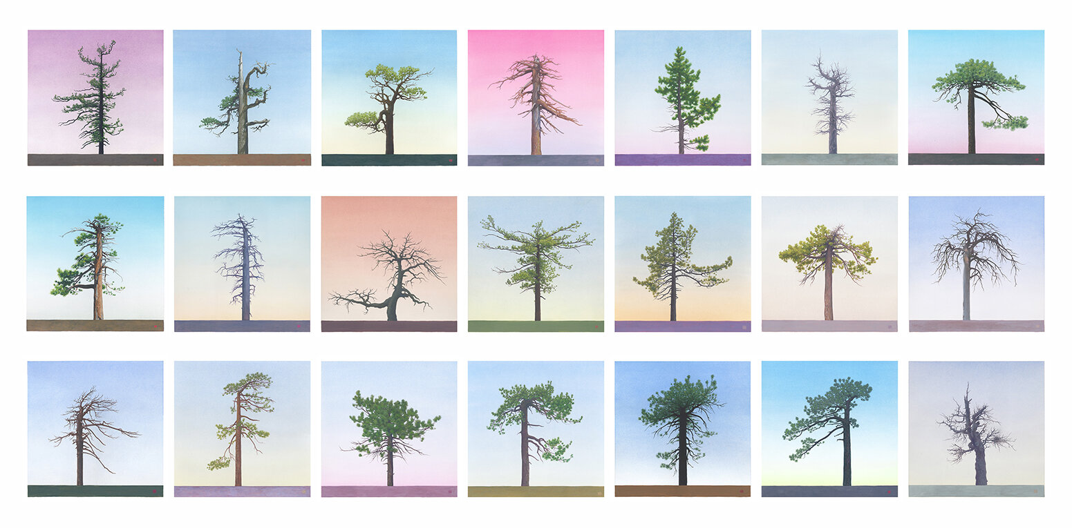 21 Selections from "Tree/Forest"