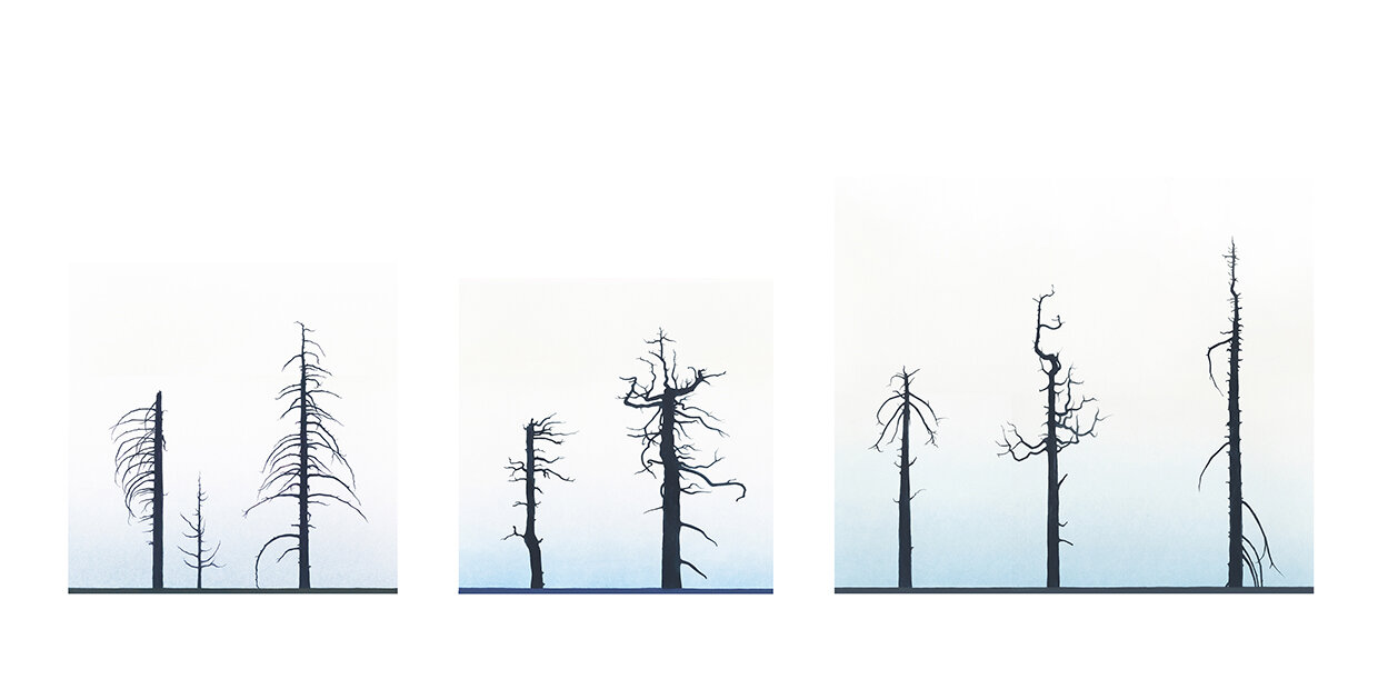 Eight Burnt Trees, Crystal Lake