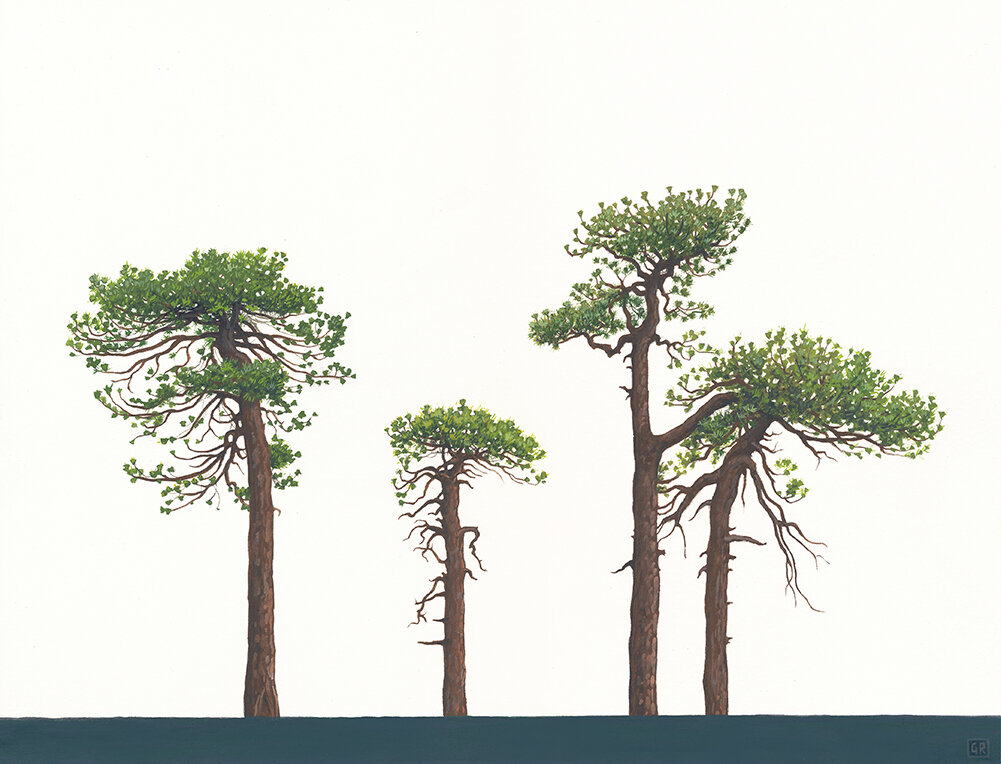 Four Trees, Mt. Waterman