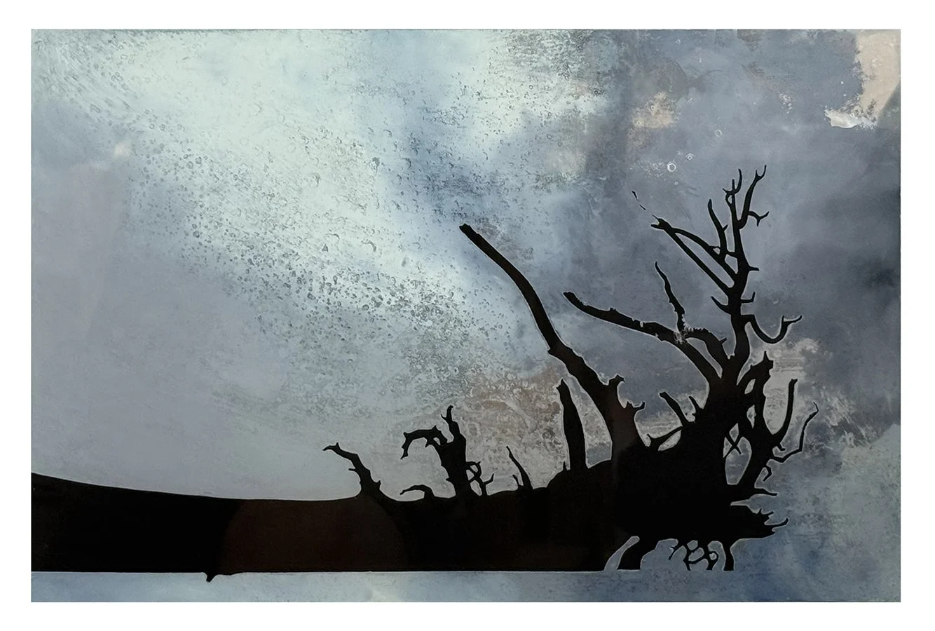 Fallen Tree