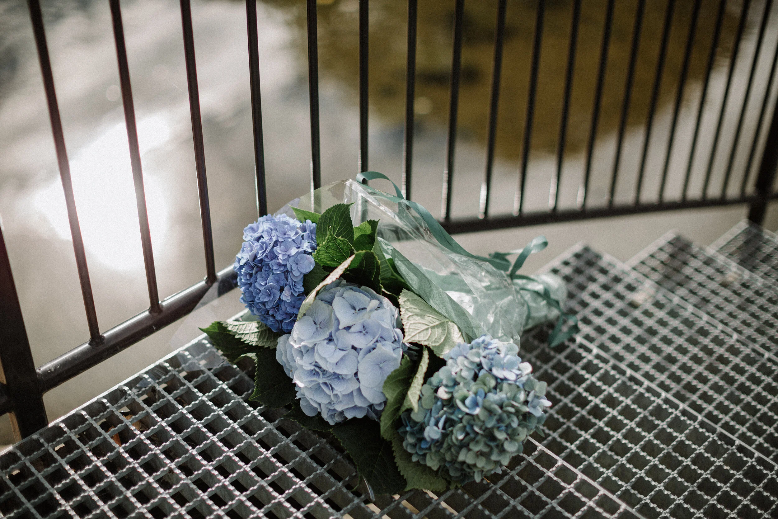 475A3574.jpg
