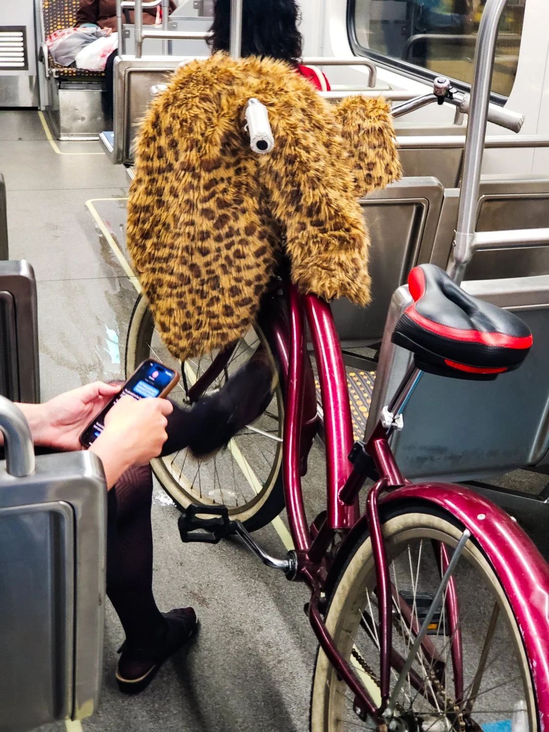 Furry Cruiser
