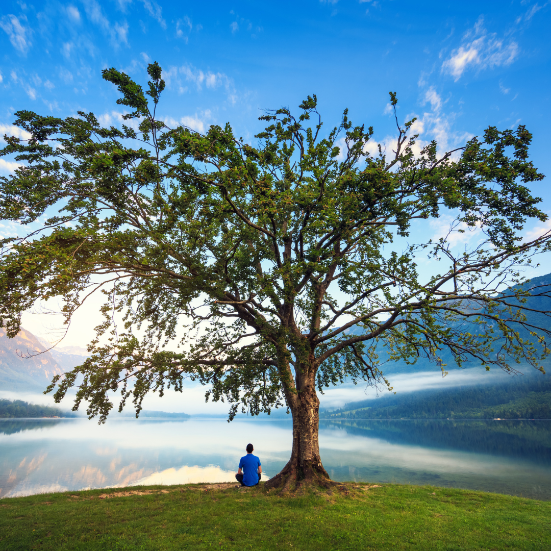 What’s Wrong With Holistic Healthcare? 