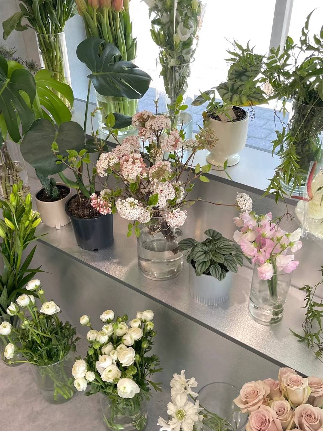 How Flowers Can Bring Happiness into Our Lives