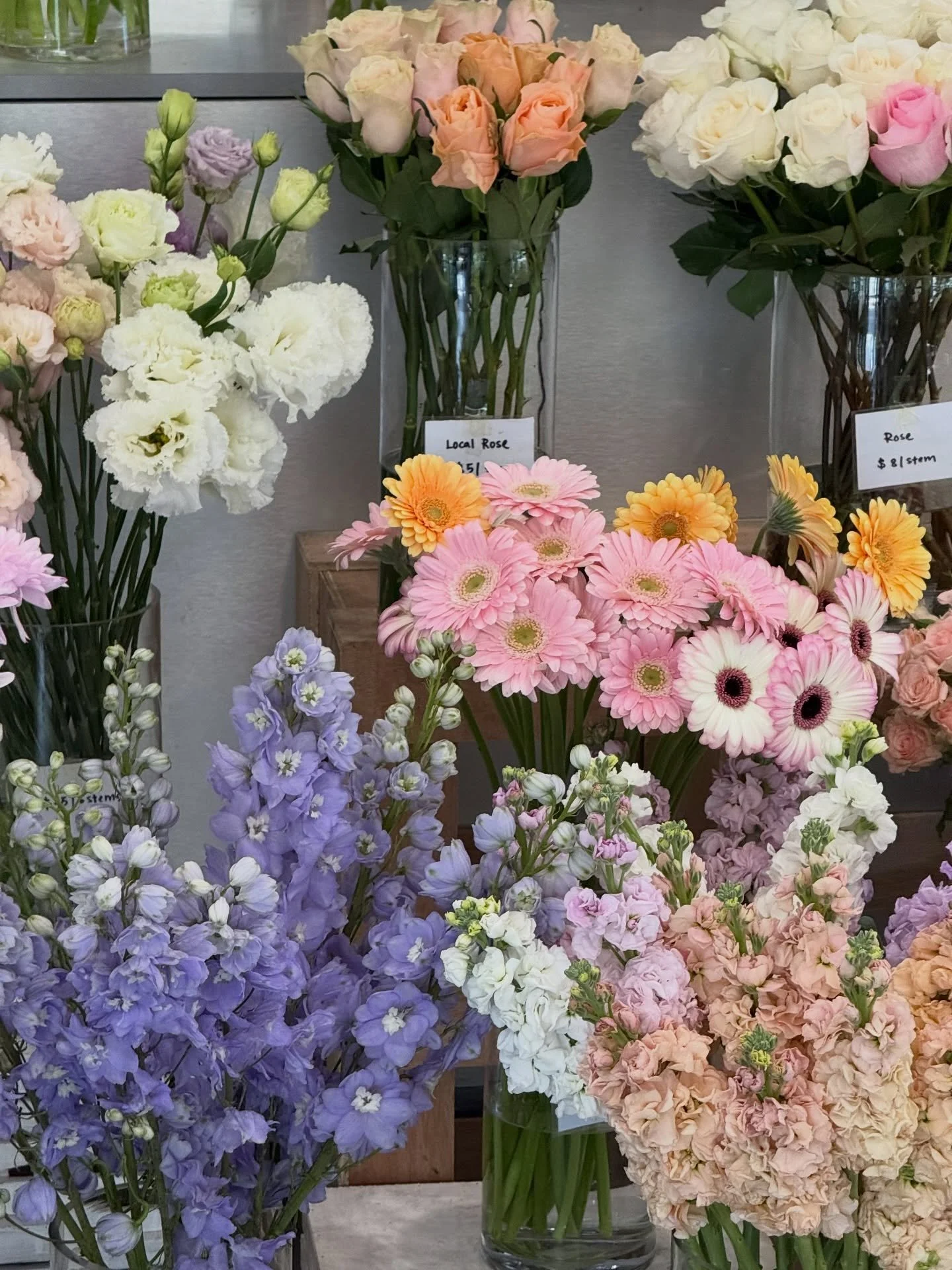 Today In Stock 🍃

#springsummer #adelaideflorist