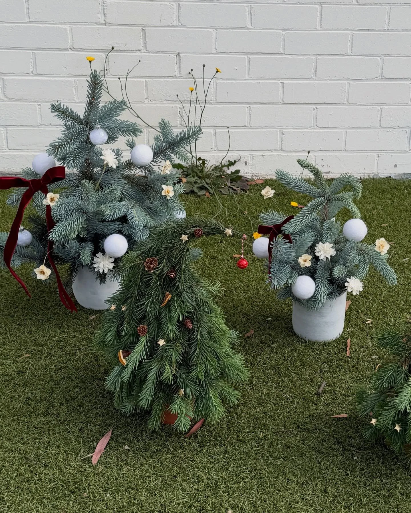 ✨ L+ Christmas Collection 2025 ✨

Hand-made &bull; Fresh Pine &bull; Limited Edition

Our little forest has arrived.
Each piece is crafted completely by hand using fresh seasonal pine, soft winter whites, and delicate accents that bring a quiet, eleg