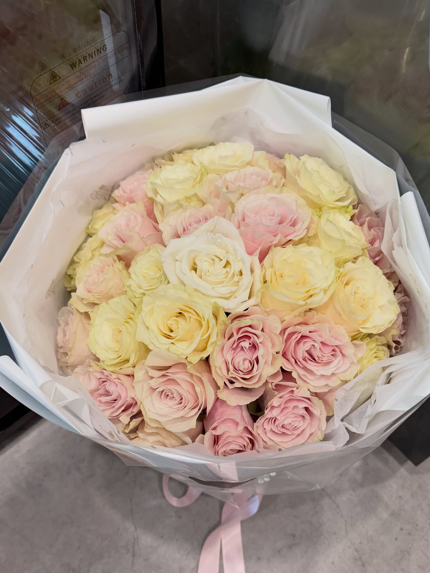 🤍🌸

30 stems Rose only

#adelaideflorist