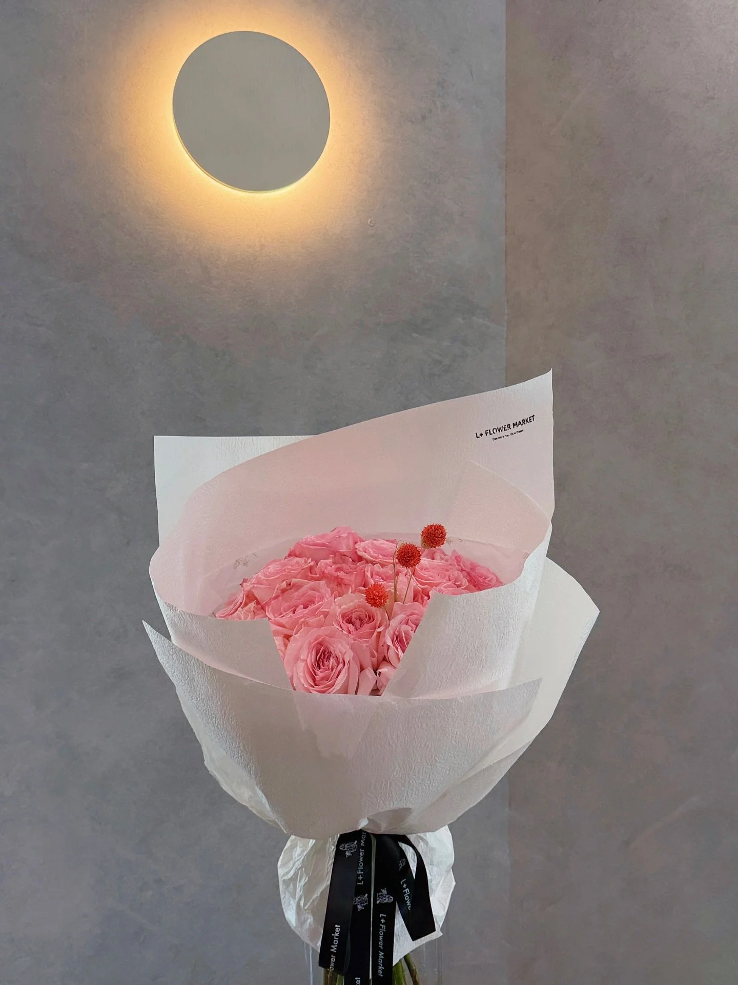 Cherry Whisper 

A quiet blush, soft as cherry skin. 🍒

#pinkrose #cherrypink #adelaideflorist