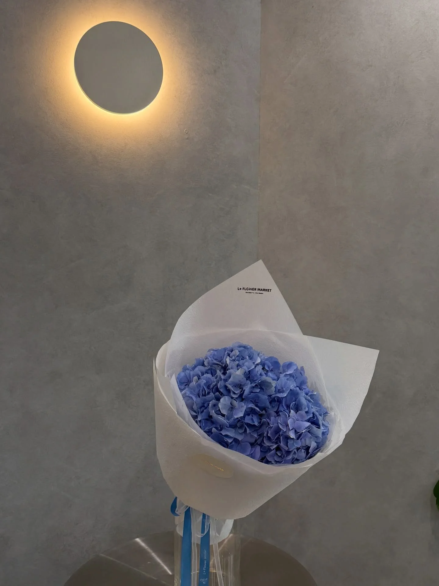 Blue Hydrangea 

💙🍃 🧊

#hydrangeas #summervibes☀️ #summerflowers #adelaideflorist