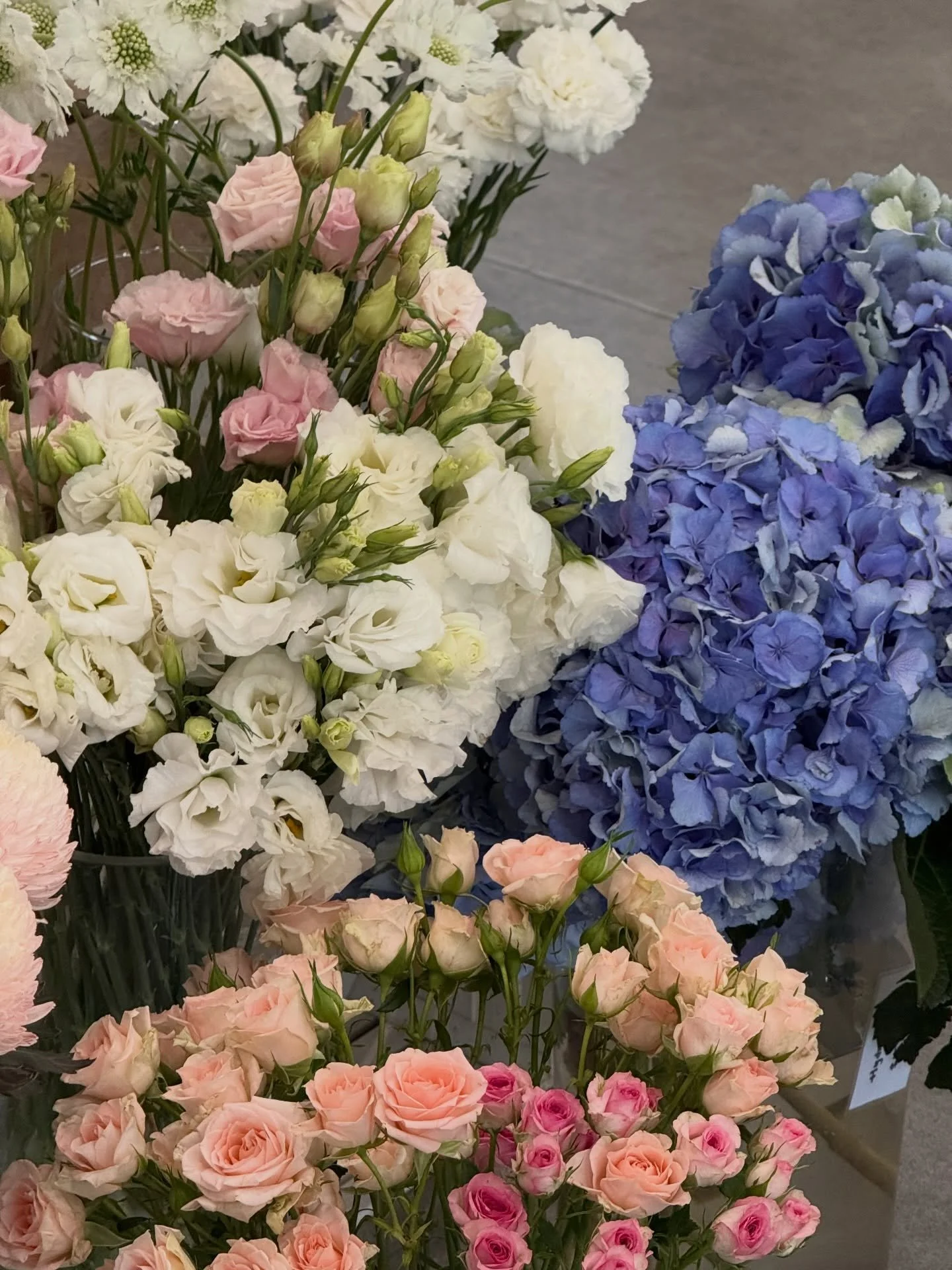 Back on 2026 

🌸🩵🤍🦋

#adelaideflorist