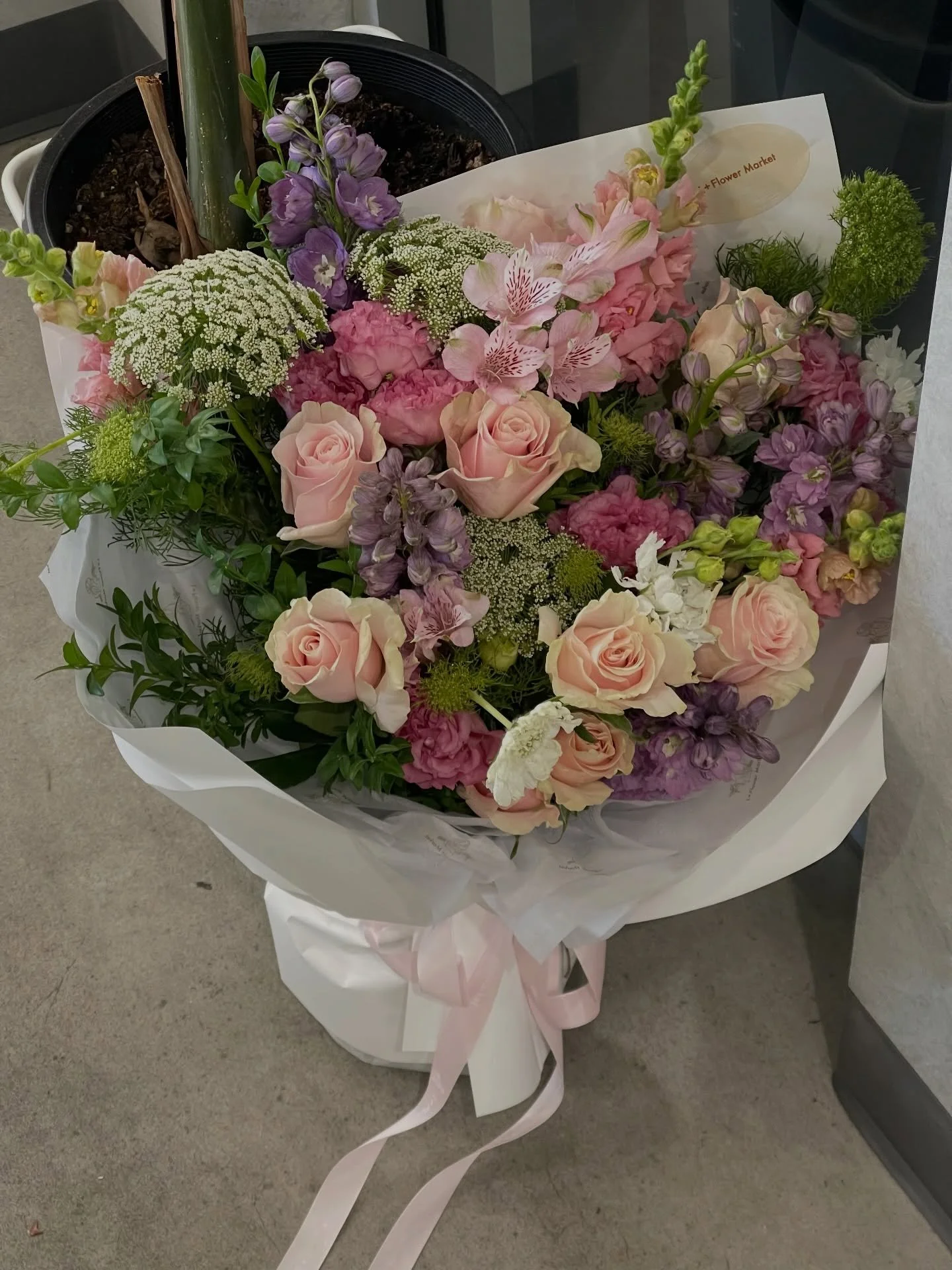 My Secret Garden 

🍇 💕🌸🍃

#adelaideflorist