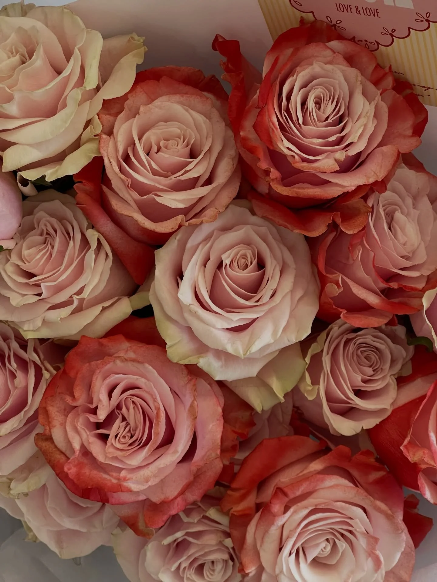 Let the roses talk for you.
When words fall short, flowers speak.
This Valentine&rsquo;s Day &mdash; say it with roses. 🌹

#valentines #valentinesday #vday #adelaideflorist