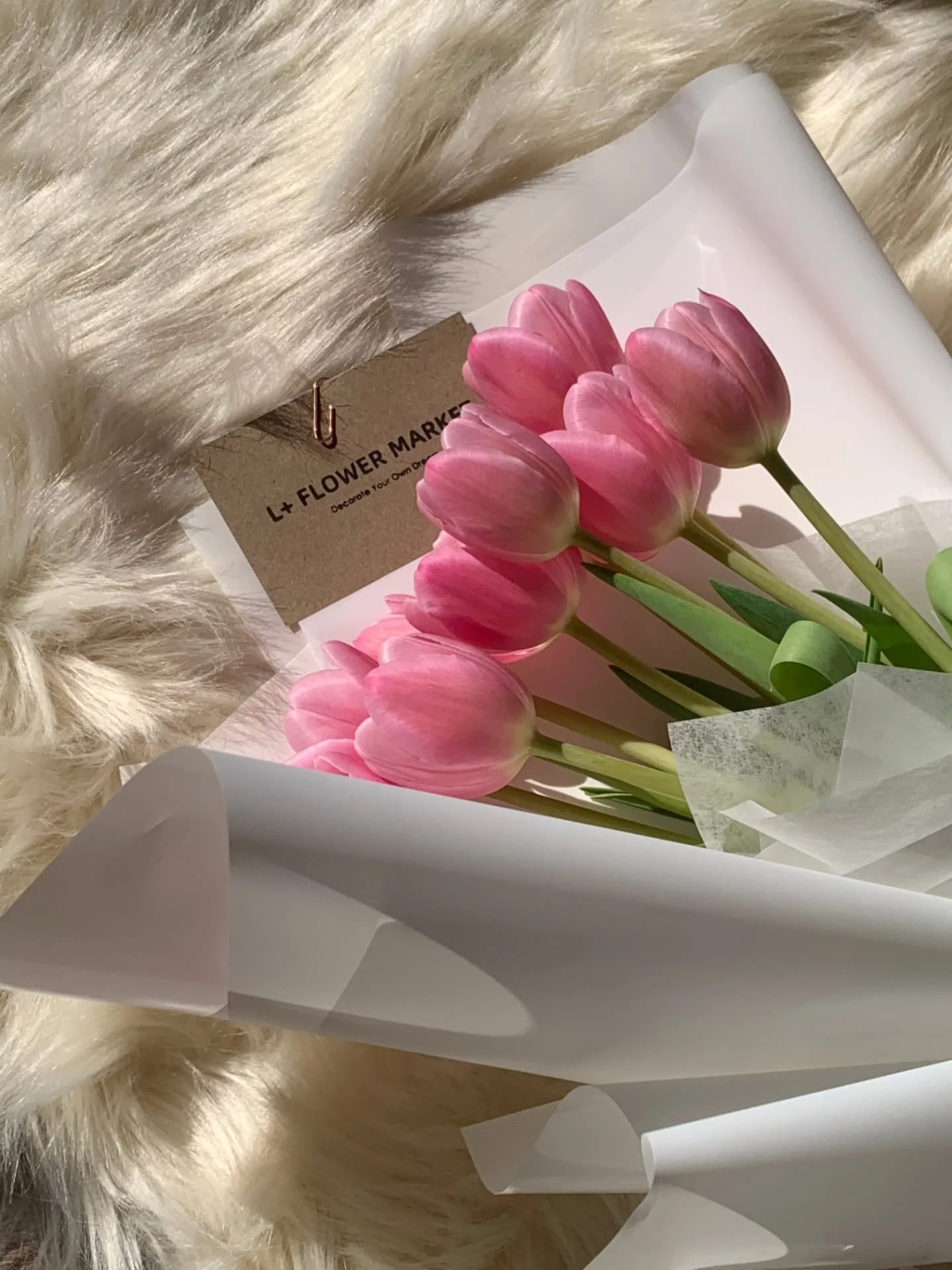 Tulip in the sunshine 🌷🌷🌷
#tulip #adelaideflorist