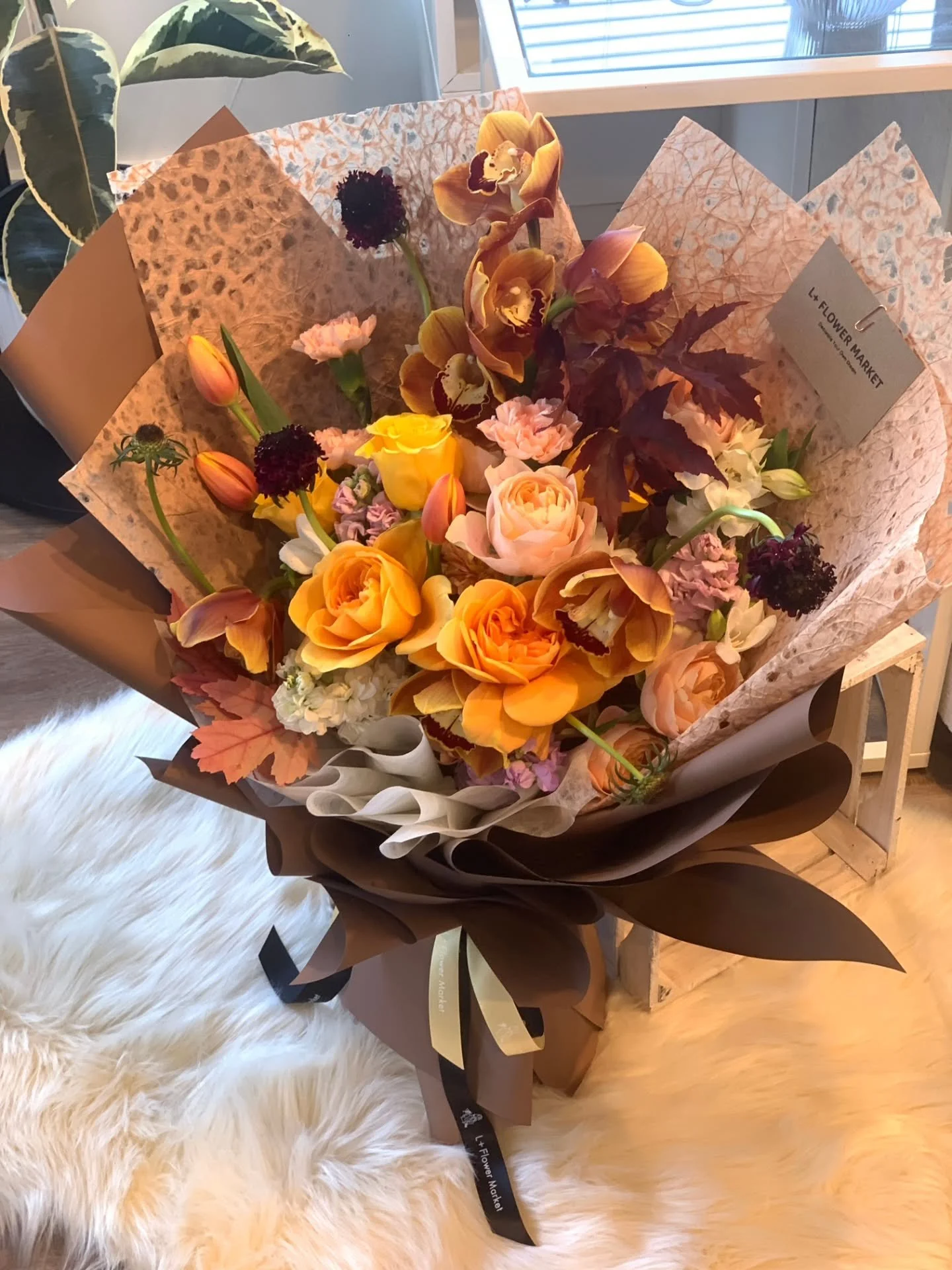 Fall in love with this gorgeous warm color 🤎🖤
#autumn #adelaide #anzacday