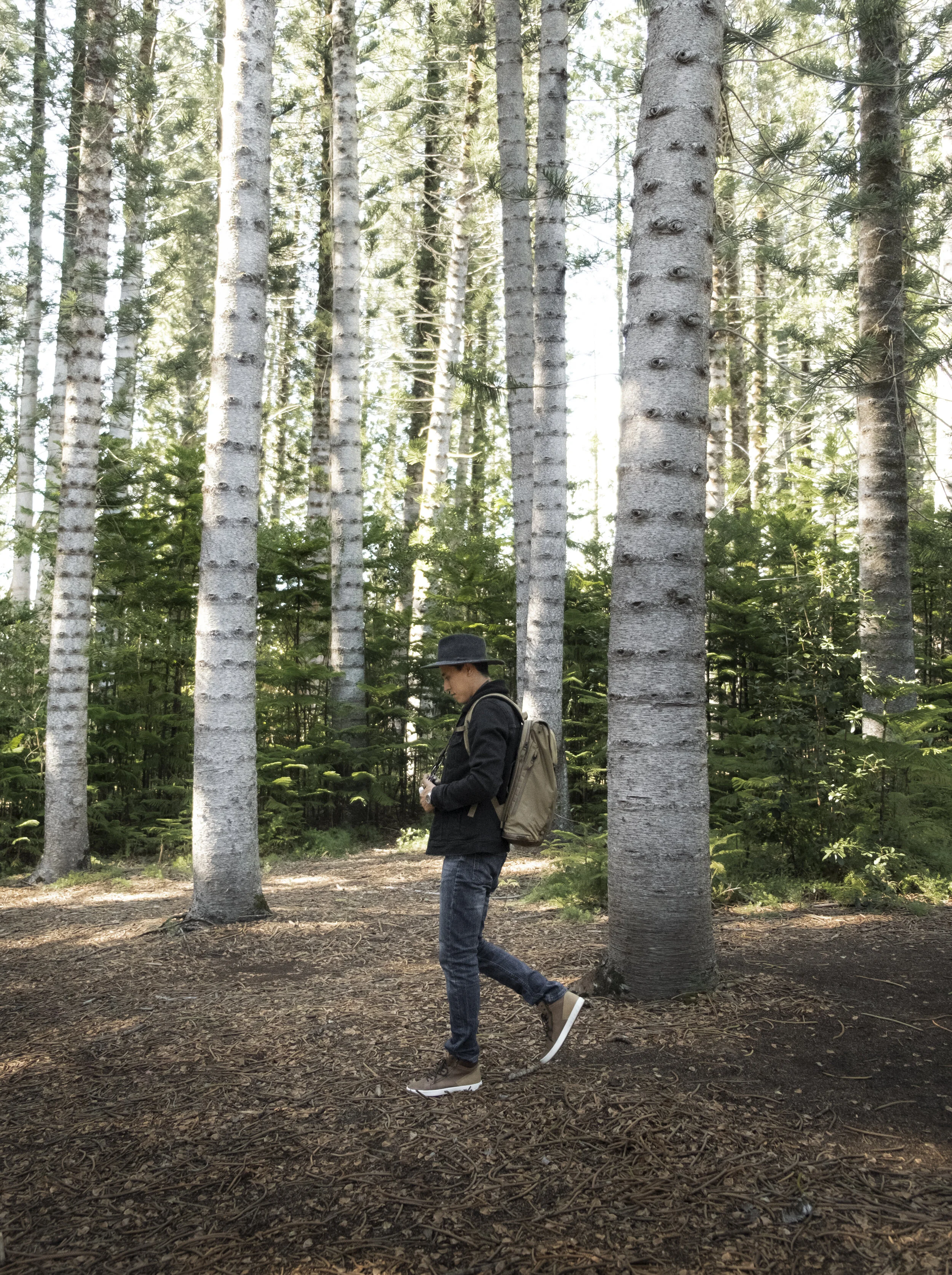 A person walking in a forest with tall trees, wearing a black hat, black jacket, jeans, and carrying a backpack.