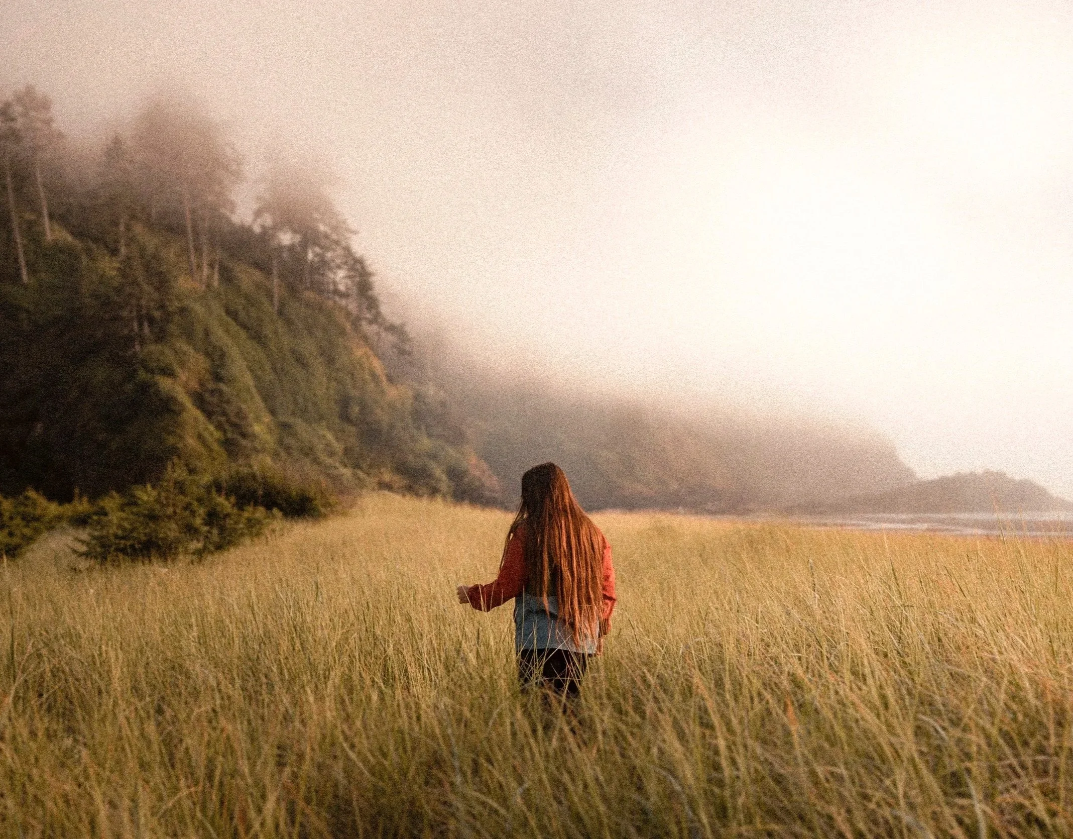 A person walking through a grassy field near the California coast, with fog-covered trees and cliffs in the background.