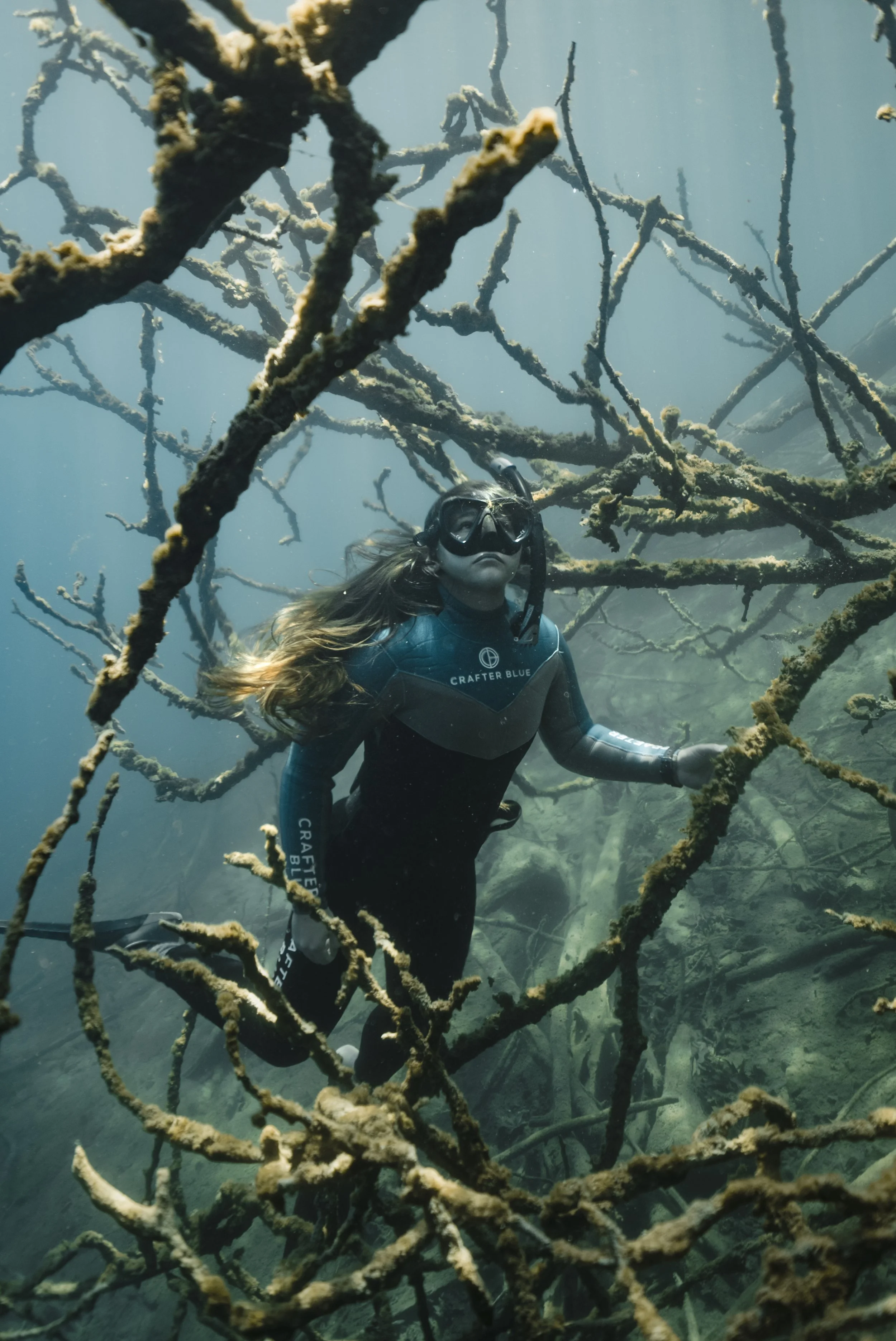 A woman wearing a wetsuit and diving mask explores an underwater forest of leafless trees and branches in Crater Lake in Washington.