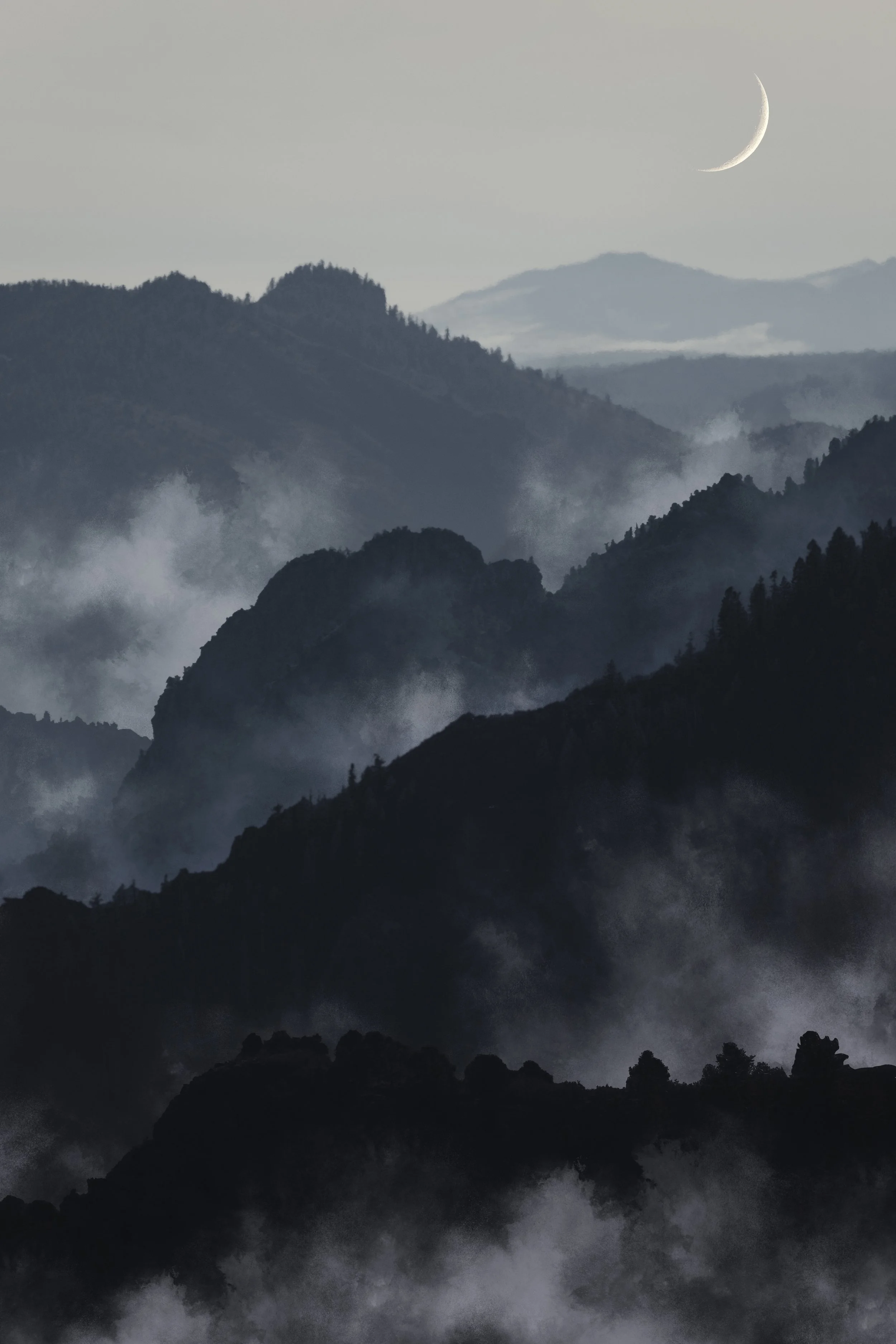 DSCF6732-Edit copy.jpg