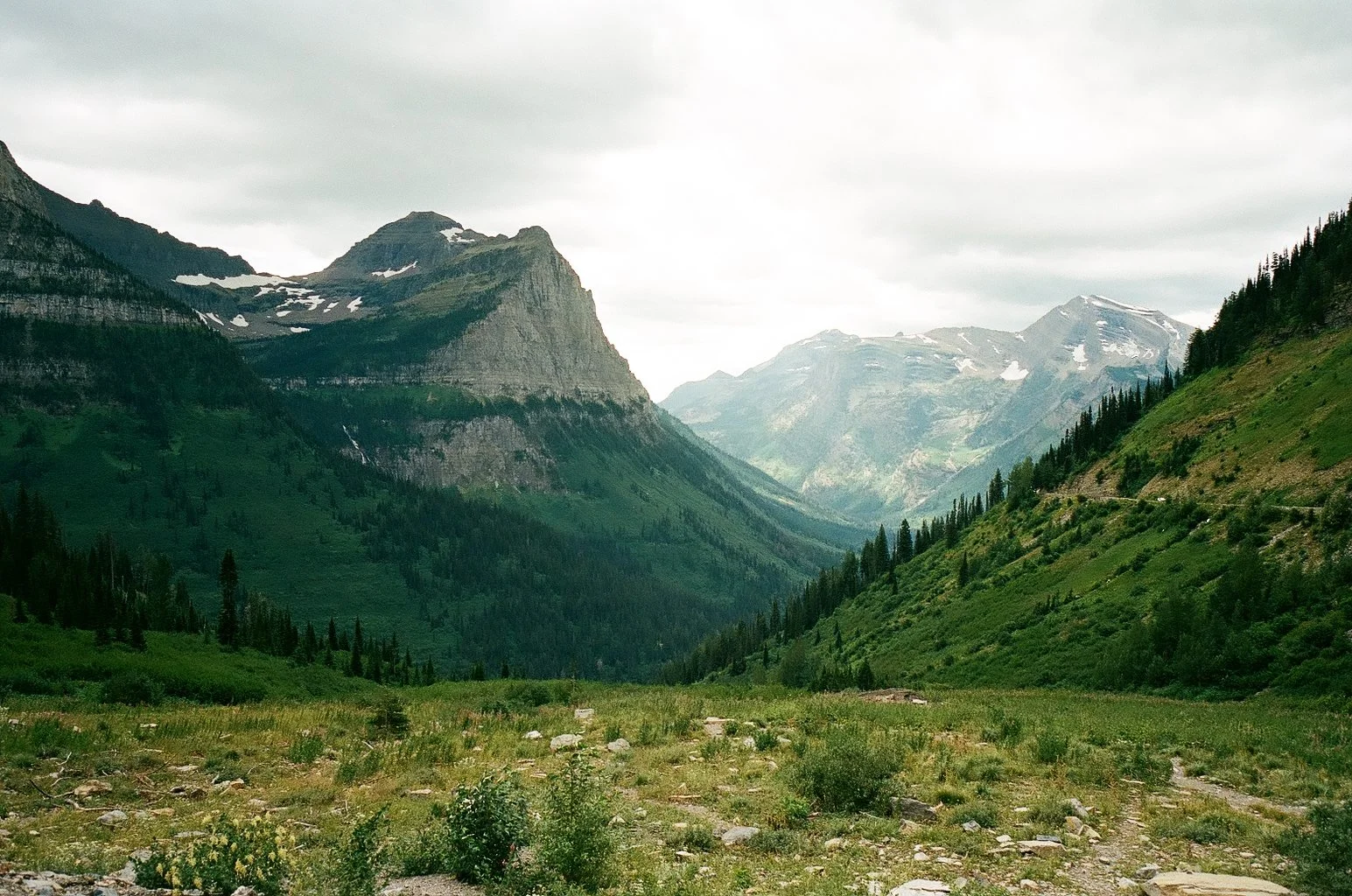 Mountain valley with green slopes, tall trees, and snow-capped peaks under cloudy sky.