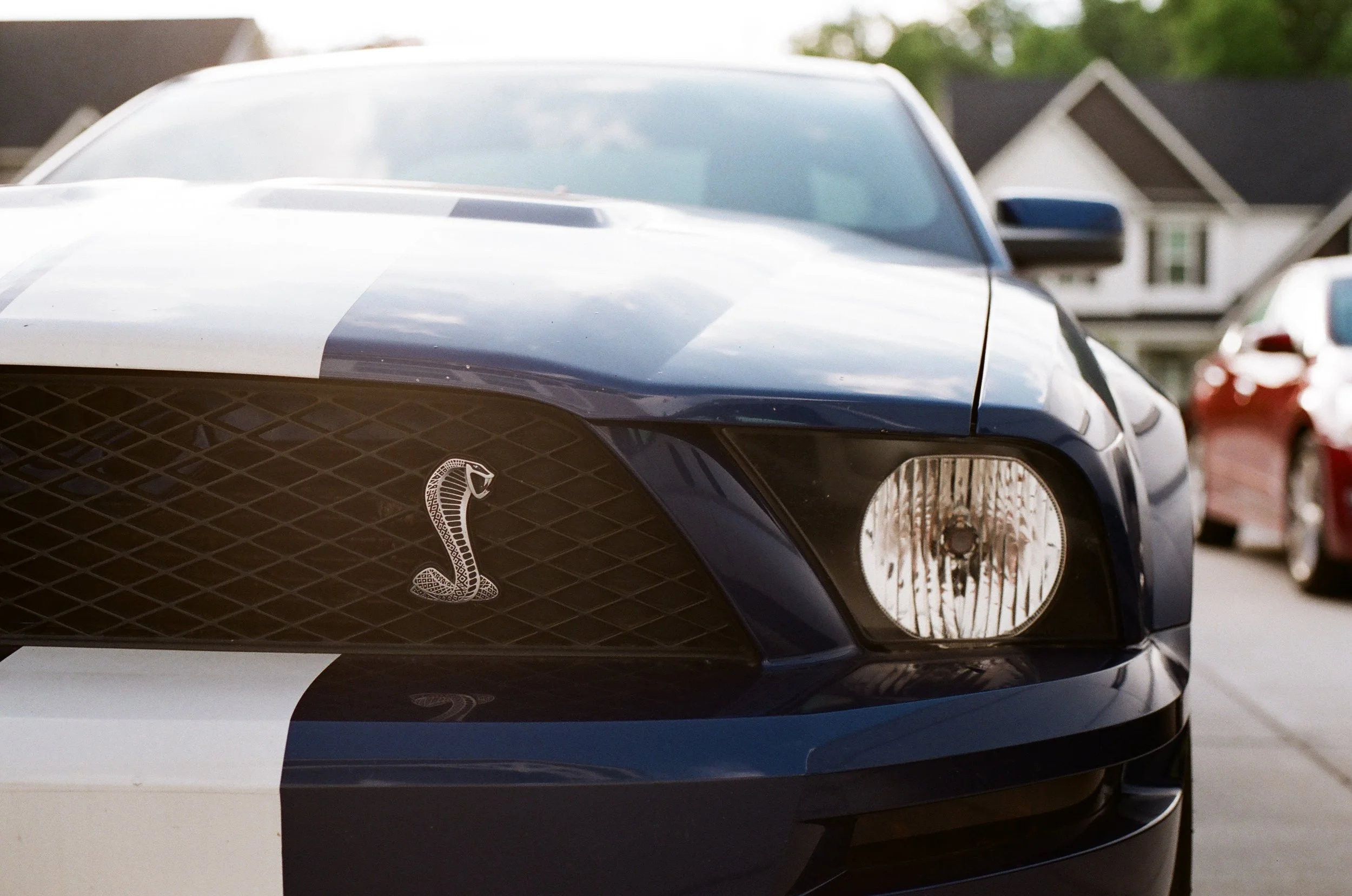 Close-up of the front of a black Ford Mustang Shelby GT500 with a Cobra emblem, white racing stripe, parked on a residential street with houses and another car in the background.