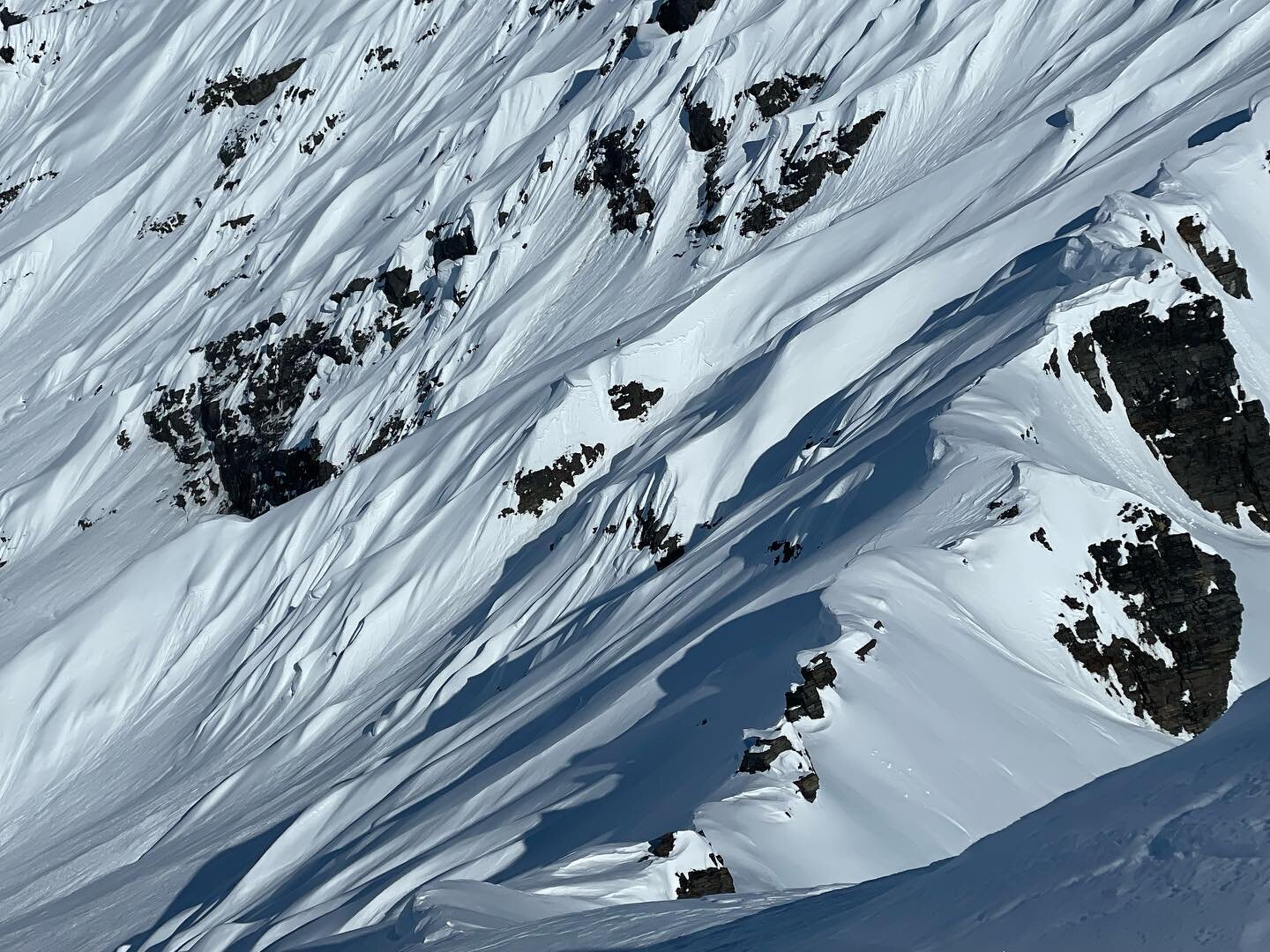 Can you see @simon.hillis in this sea of spines?!? Hell of a way to pop your AK cherry bud! We can&rsquo;t wait to see you smash pow in style for years to come!

@volklskisusa @hellyhansen 
@hellyhansenski @prethelmets @bolle_eyewear @fitssocks 
@pow
