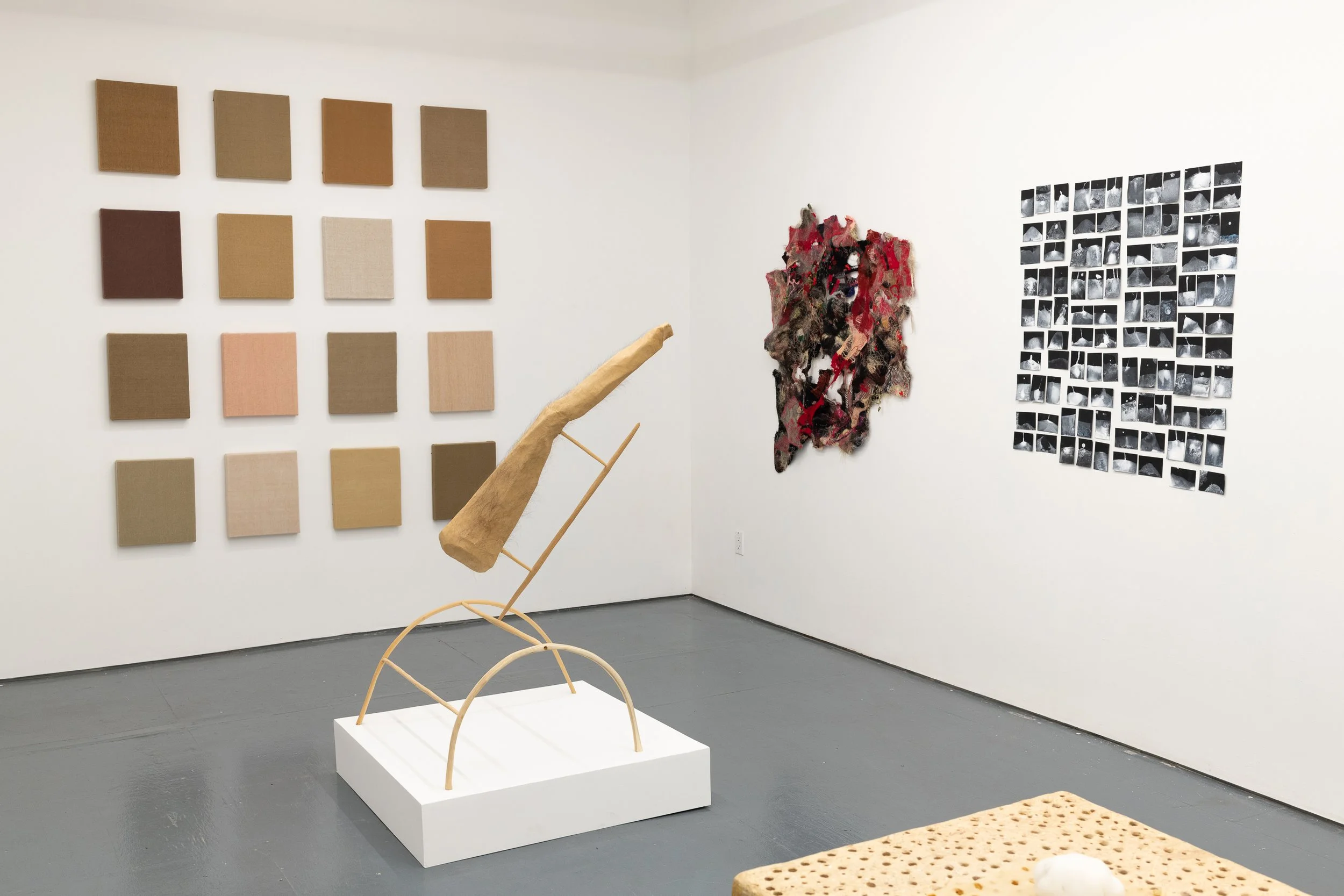 Tiger Strikes Asteroid Open Call www.edidai.com