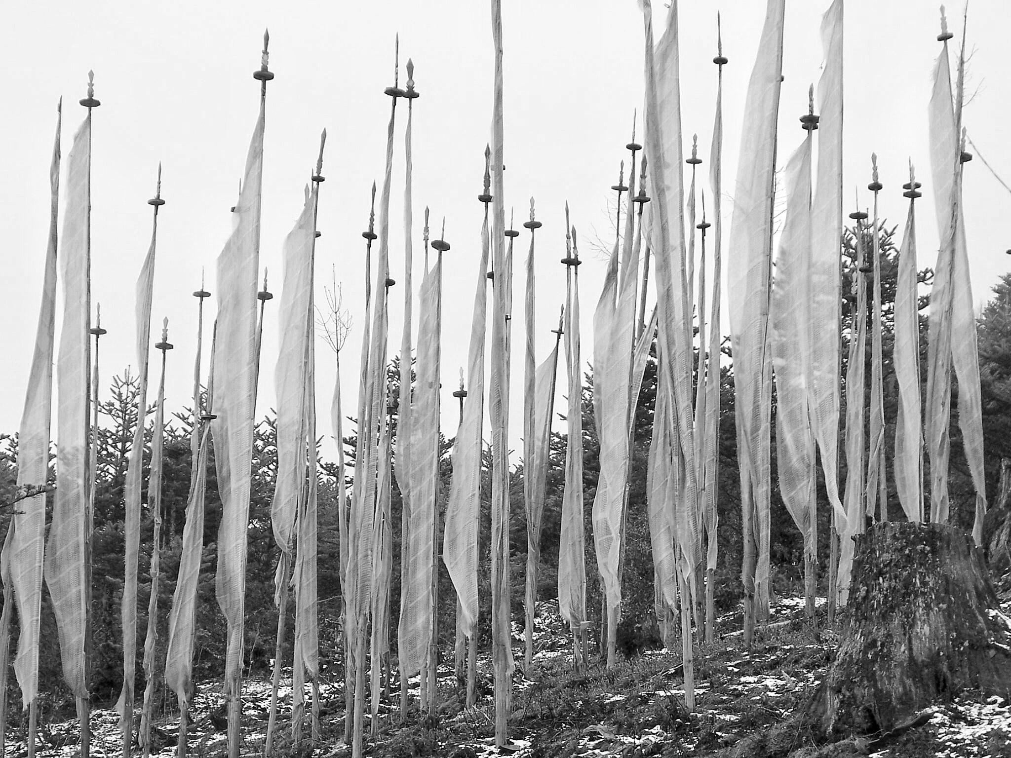 Bhutan Prayer Flags.JPG