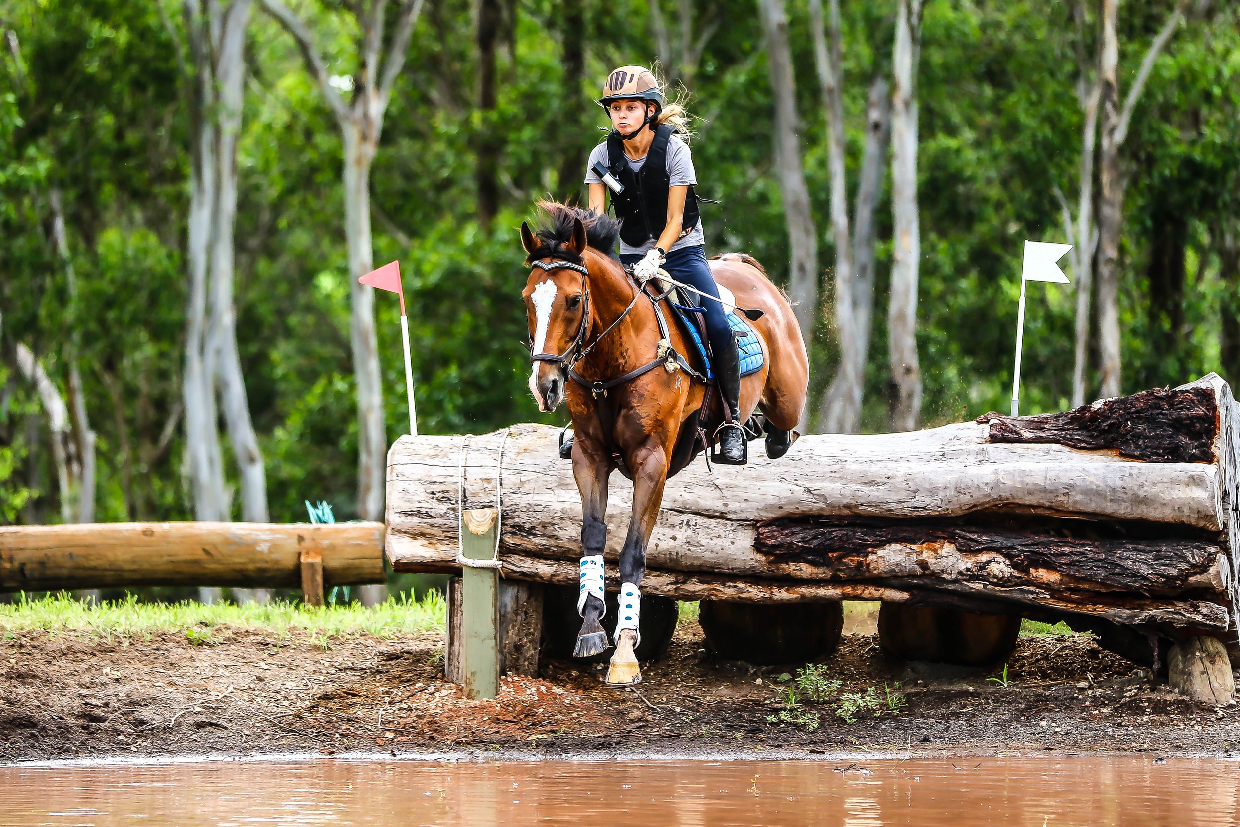 equusbybrittanyGSS-9647.jpg