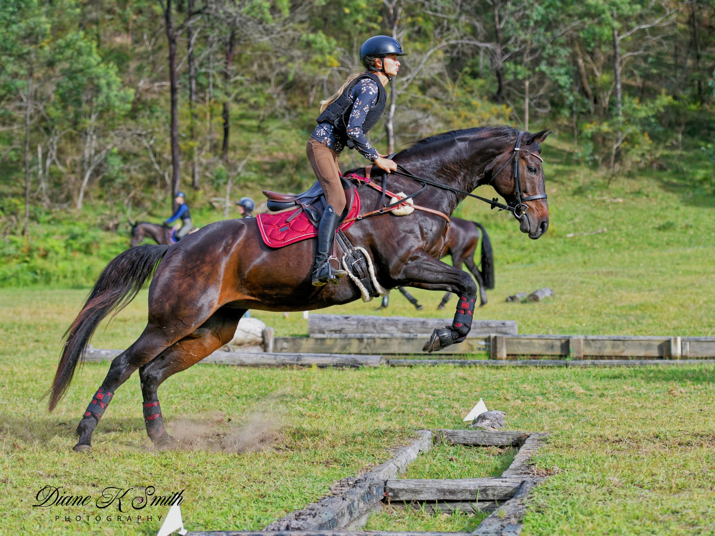DSC_9536_DxO.jpeg