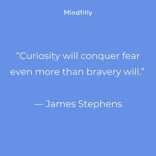 curiosity-quotes.png