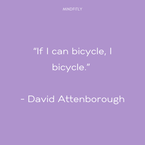 bicycle-quotes.png