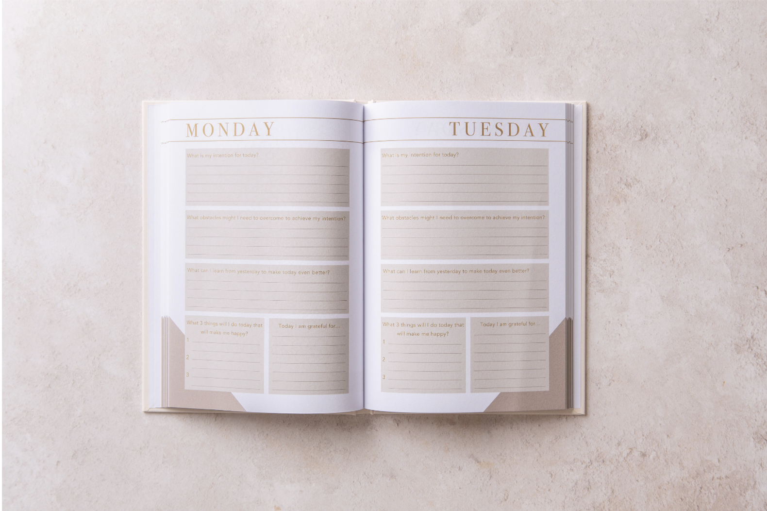 Screenshot 2026-01-28 at 14.21.47.png